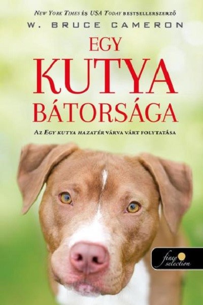 Egy kutya bátorsága