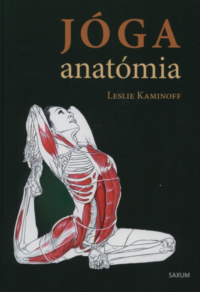 Jóga anatómia