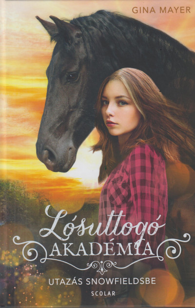 Utazás Snowfieldsbe