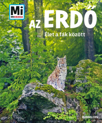 Az erdő - Mi Micsoda