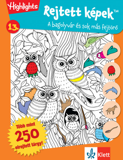 Rejtett képek 13. - Bagolyvár és sok más fejtörők