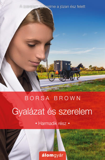 Gyalázat és szerelem