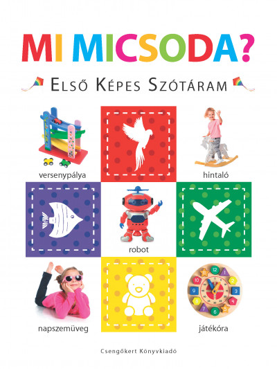 Mi micsoda? - Első képes szótáram