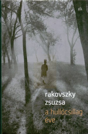 A hullócsillag éve