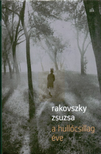 A hullócsillag éve