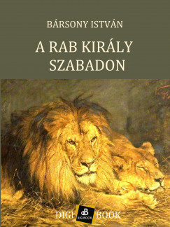 Brsony Istvn - A rab kirly szabadon