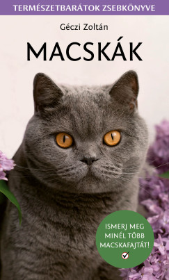 Géczi Zoltán - Macskák