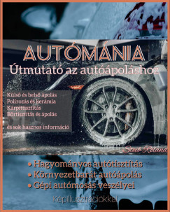 Steib Roland - Autmnia: tmutat az autpolshoz