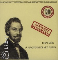 Jkai Mr - Mszros Zoltn - A nagyenyedi kt fzfa