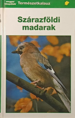 Szárazföldi madarak