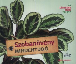 Dr. Folko Kullmann - Szobanvny mindentud
