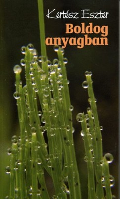 Kertsz Eszter - Boldog anyagban