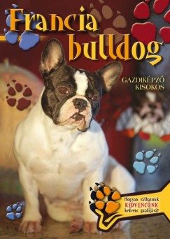 Francia bulldog