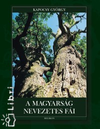 Kapocsy Gyrgy - A magyarsg nevezetes fi