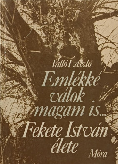 Valló László - Emlékké válok magam is...