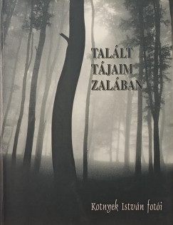 Talált tájaim Zalában