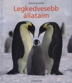 David Henry Wilson - Legkedvesebb llataim