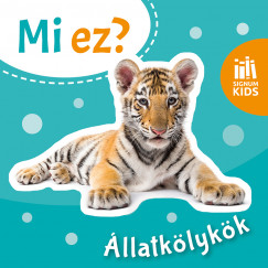llatklykk - Mi ez?