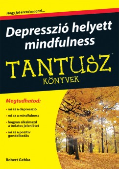 Robert Gebka - Depresszi helyett mindfulness