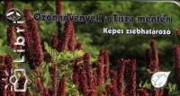 Schmotzer Andrs - znnvnyek a Tisza mentn
