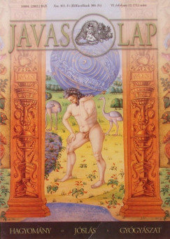 Javas lap VI. vfolyam 12. szm
