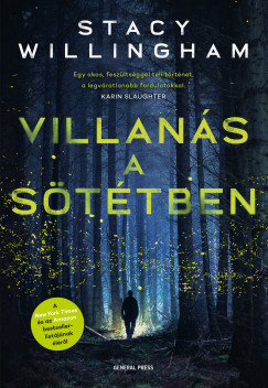 Stacy Willingham - Villans a sttben