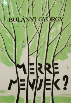 Bulnyi Gyrgy - Merre menjek?