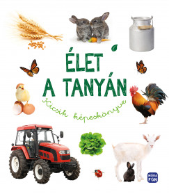 let a tanyn