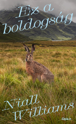 Niall Williams - Ez a boldogs�g