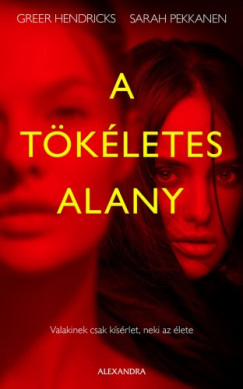 Sarah Pekkanen Greer Hendricks - A tkletes alany