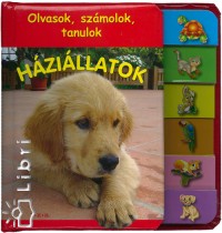 Hzillatok