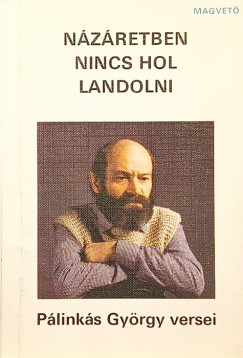 Pálinkás György - Názáretben nincs hol landolni