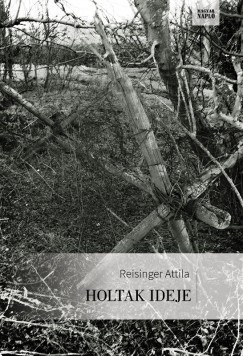 Reisinger Attila - Holtak ideje