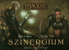 Wayne Chapman - Meszlnyi Pter - Szinergium - Ynevi vzlatknyv