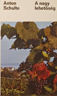 Anton Schulte - A nagy lehetőség