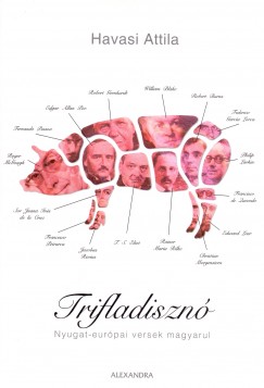 Havasi Attila - Trifladiszn