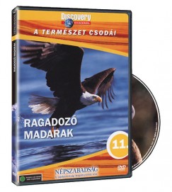A termszet csodi 11. -  Ragadoz madarak - DVD