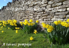 Gyrfin Kat - Kat versek Szp gondolatok gyngyei IV. A tavasz pompja