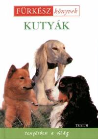 Kutyk