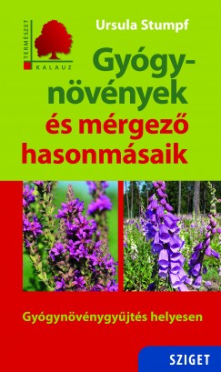 Ursula Stumpf - Gygynvnyek s mrgez hasonmsaik