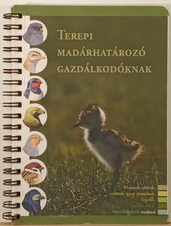 Terepi mad�rhat�roz� gazd�lkod�knak