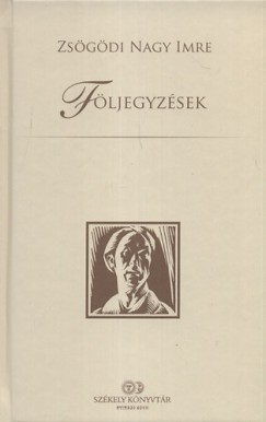 Zsgdi Nagy Imre - Fljegyzsek