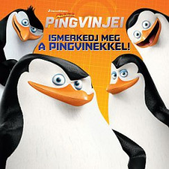 A Madagaszkr pingvinjei - Ismerkedj meg a pingvinekkel!