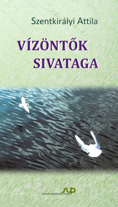 Szentkirlyi Attila - Vzntk sivataga