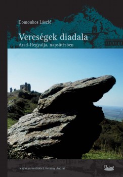 Domonkos László - Vereségek diadala