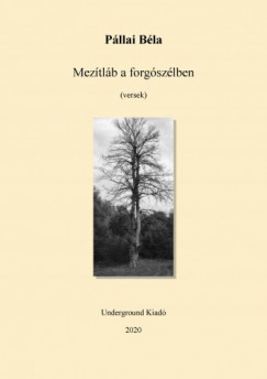 Pllai Bla - Meztlb a kertben