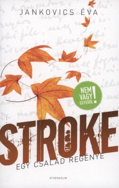 Jankovics va - Stroke