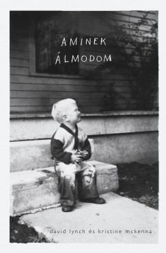 David Lynch - Kristine Mckenna - Aminek lmodom