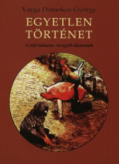 Varga Domokos Gyrgy - Egyetlen trtnet
