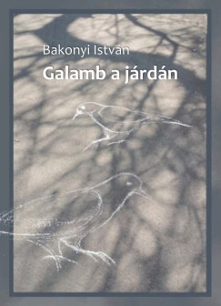 Bakonyi Istvn - Galamb a jrdn